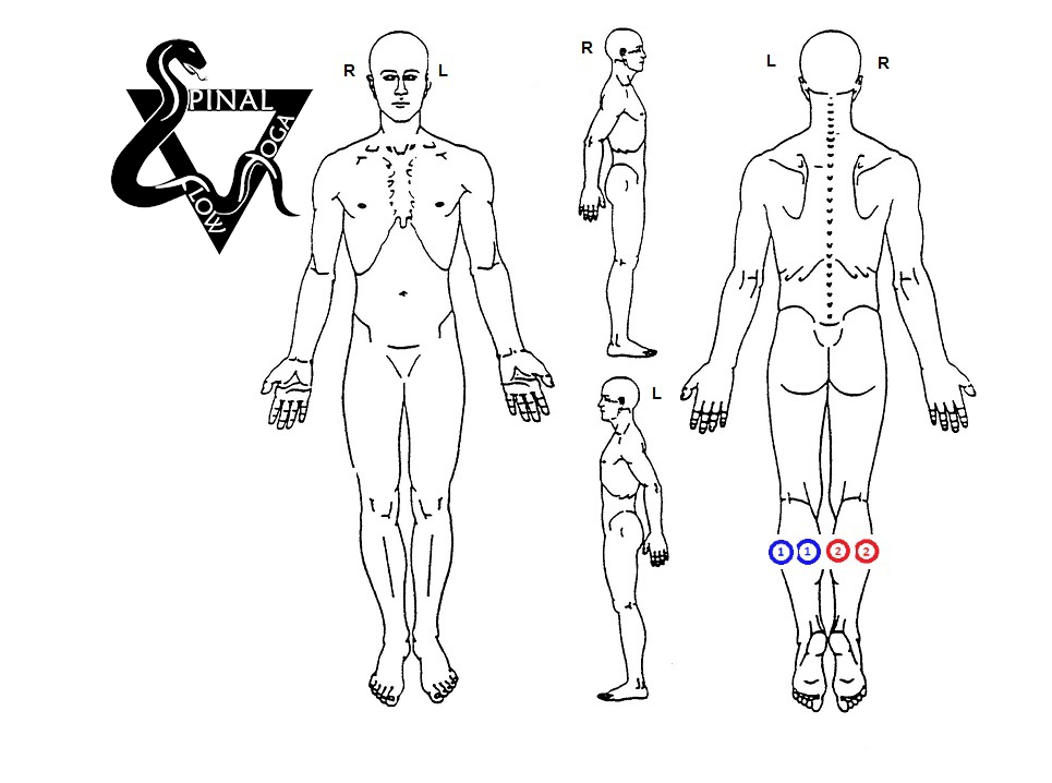 Anatomical front, side, and back views of a male figure with markings on the lower legs.