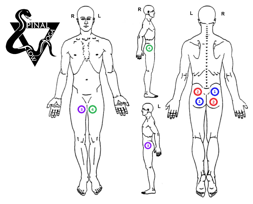 Diagram showing human body pain points with colored circles.