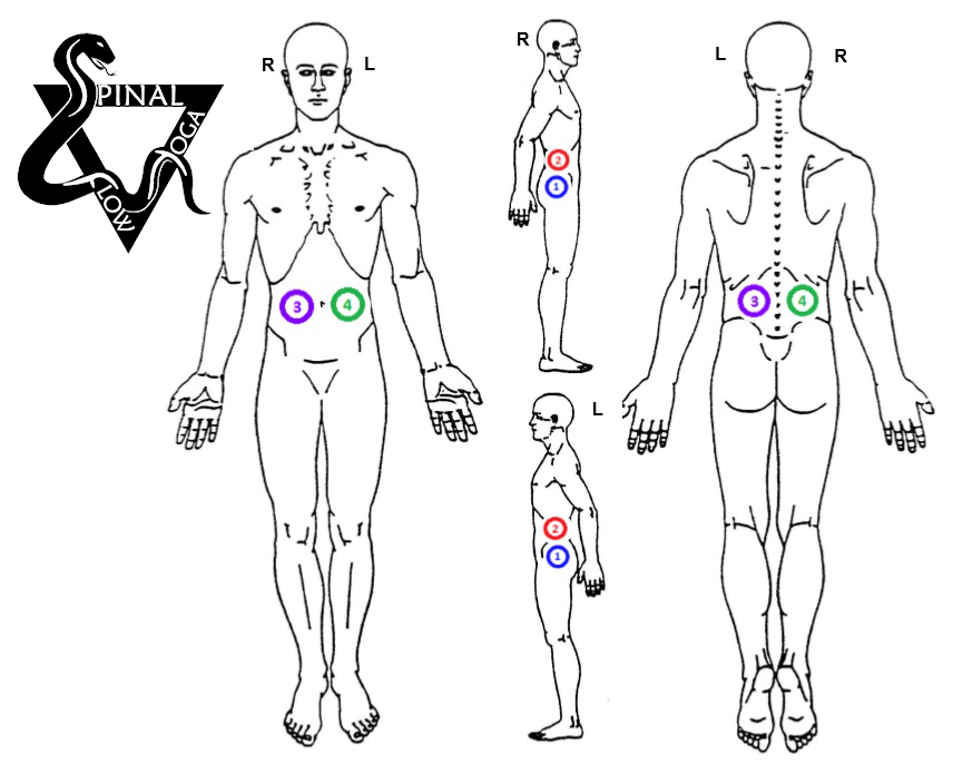 Diagram showing human body with marked acupuncture points.