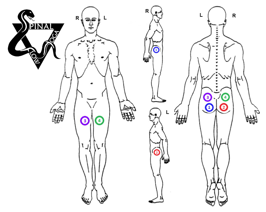 Diagram showing acupuncture points on the human body front and back views.