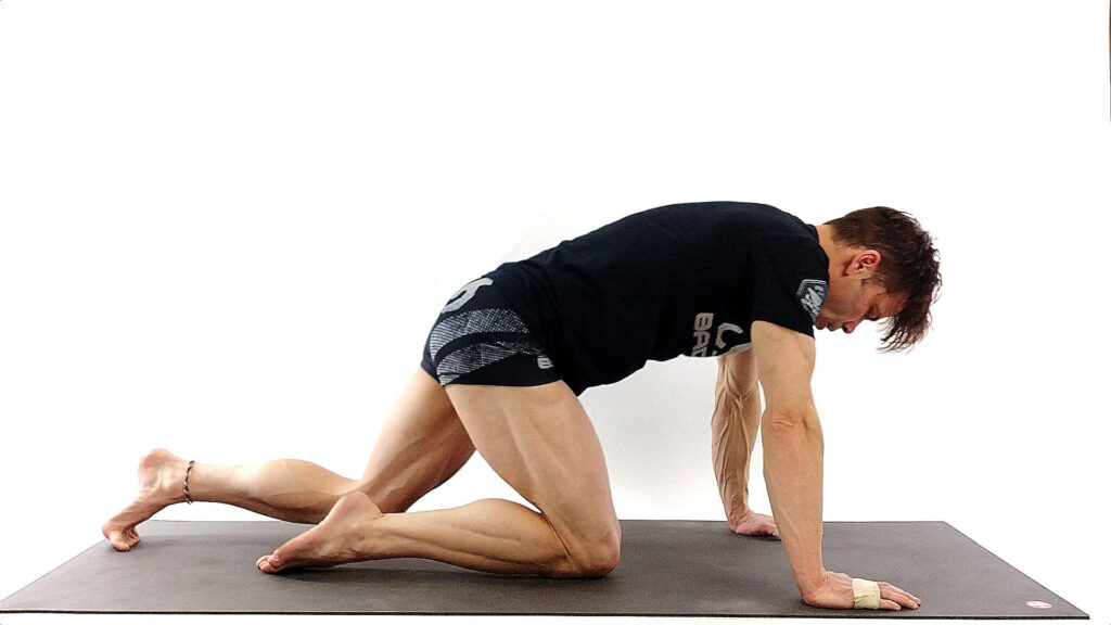 Person in athletic wear on hands and knees doing an exercise pose.